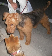 2006.8.7.10001.jpg