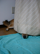 2007.9.17_30004.jpg