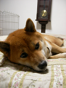 2007_11_170001.jpg