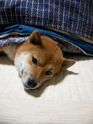 2007_11_17_20002.jpg