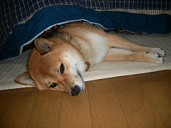 2007_11_29_20002.jpg