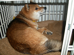 2008.10.31.10001.jpg