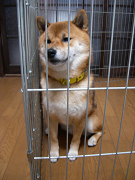 2008.11.10.20002.jpg