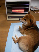 2008.11.12.50001.jpg
