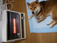 2008.11.12.60002.jpg