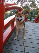 2008.11.160001.jpg