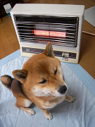 2008.11.23.10001.jpg