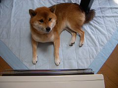 2008.11.23.20002.jpg