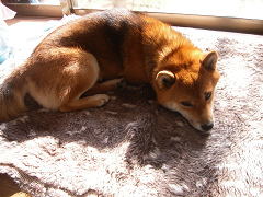 2008.11.24.20002.jpg