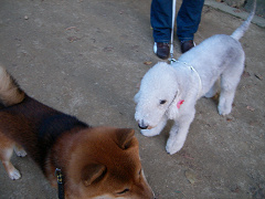 2008.11.70001.jpg