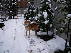 2008.2.11.10001.jpg
