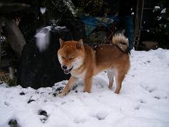 2008.2.11.20002.jpg