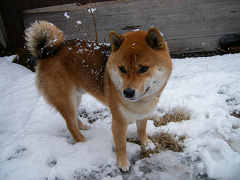 2008.2.11.60001.jpg