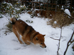 2008.2.11.70002.jpg