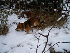 2008.2.11.80003.jpg