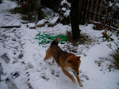 2008.2.11.90001.jpg