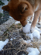 2008.2.13.10001.jpg