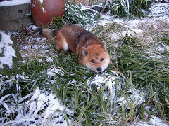 2008.2.19.40004.jpg