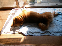 2008.2.250001.jpg