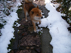 2008.2.27.20002.jpg