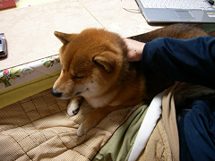 2008.2.30001.jpg