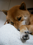 2008.2.70001.jpg
