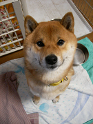 2008.2.8.10001.jpg