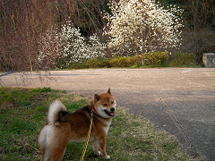 2008.3.31.10001.jpg