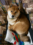 2008.4.180001.jpg