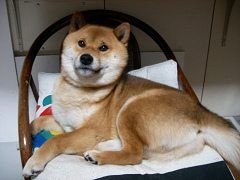 2008.4.30001.jpg