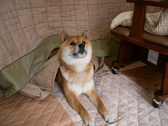 2008.4.6.20002.jpg