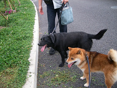 2008.7.13.20002.jpg