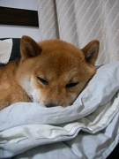 2008.7.16.20002.jpg