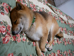 2008.8.27.10001.jpg