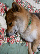 2008.8.27.20002.jpg