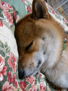 2008.8.27.30003.jpg