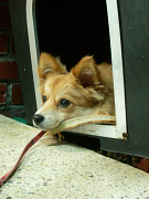 2008.8.31.40004.jpg