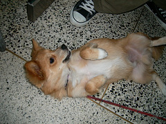 2008.8.31.50005.jpg