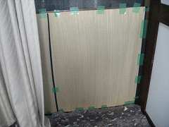 2009.2.15.20002.jpg