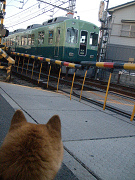 2009.2.8.20008.jpg