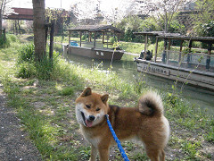 2009.4.14.10007.jpg