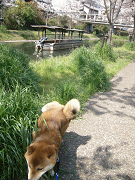 2009.4.14.20008.jpg