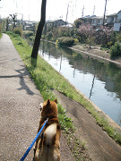2009.4.14.30009.jpg