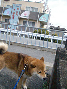 2009.4.17.10001.jpg