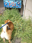 2009.4.17.20002.jpg