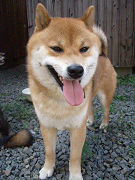 2009.4.19.10001.jpg