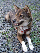 2009.4.19.20002.jpg
