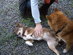 2009.4.19.30003.jpg