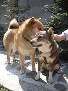 2009.4.19.40004.jpg