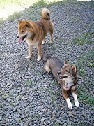 2009.4.19.50005.jpg